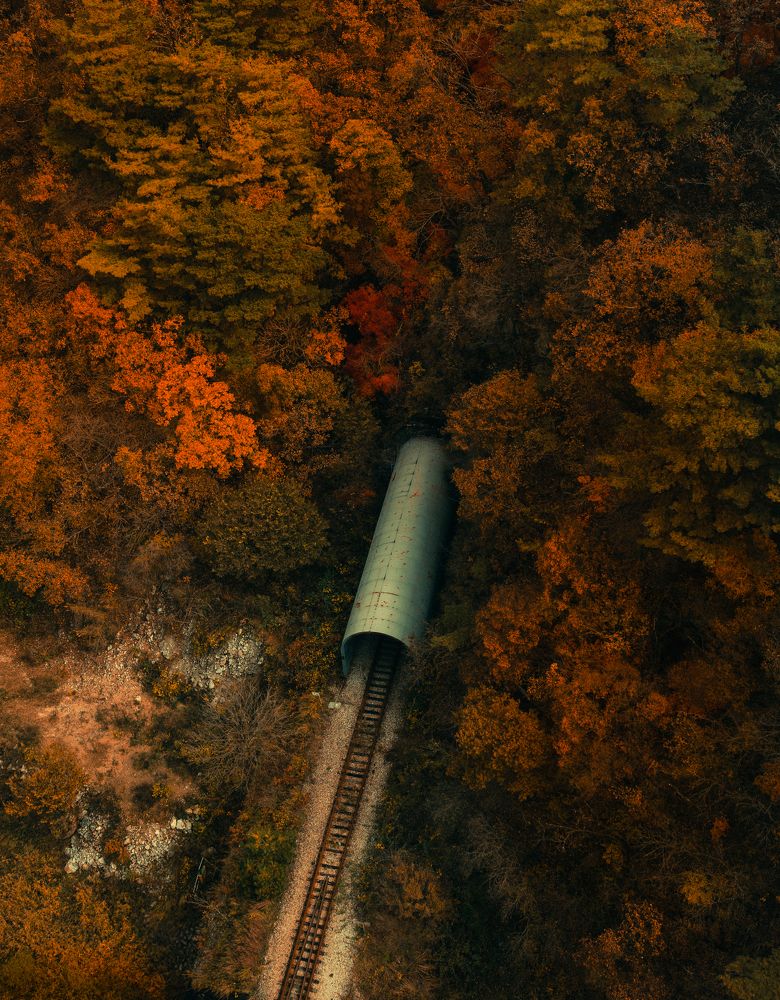 Photograph by Gerard Ngo