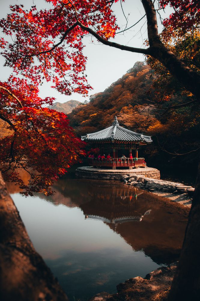 Photograph by Gerard Ngo