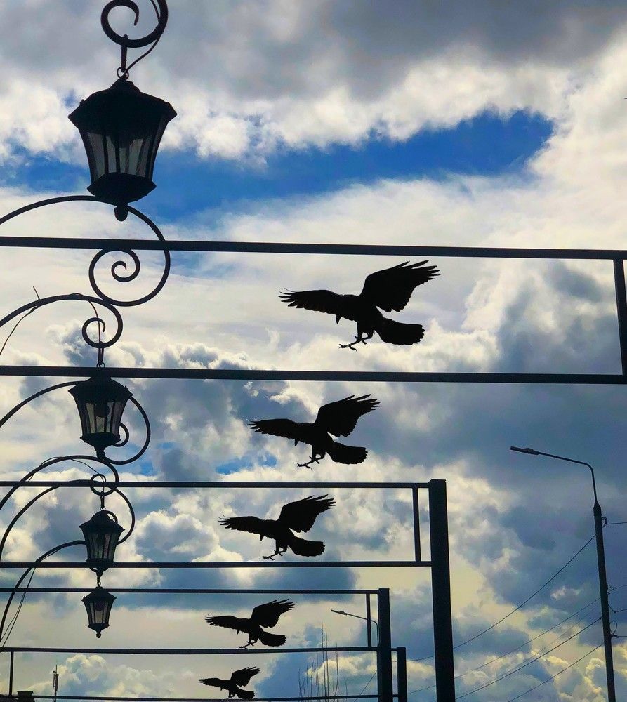 Photograph by Михаил Трусов