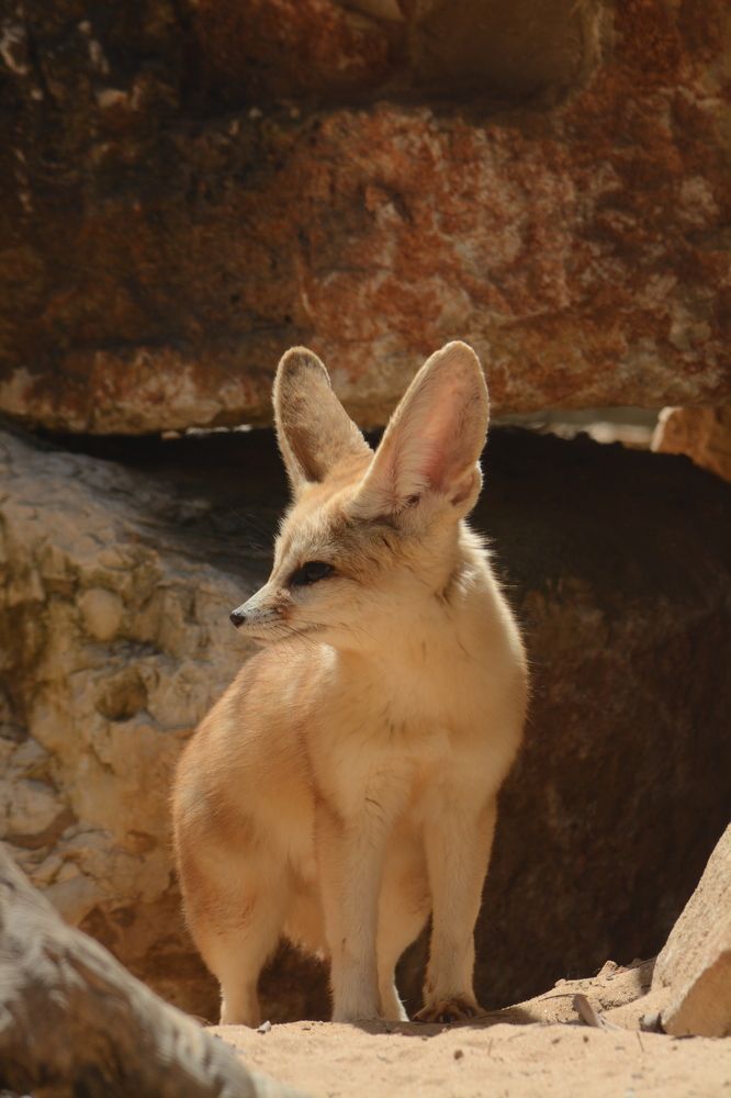 Photograph by esti lahat