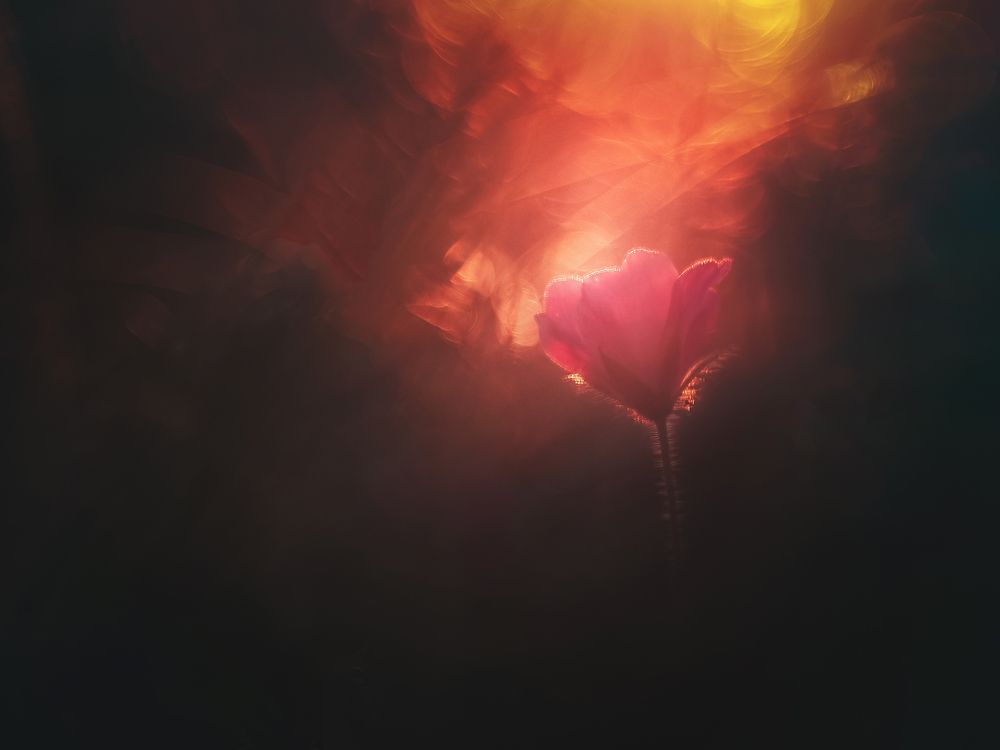 Photograph by Маргарита Смоленская