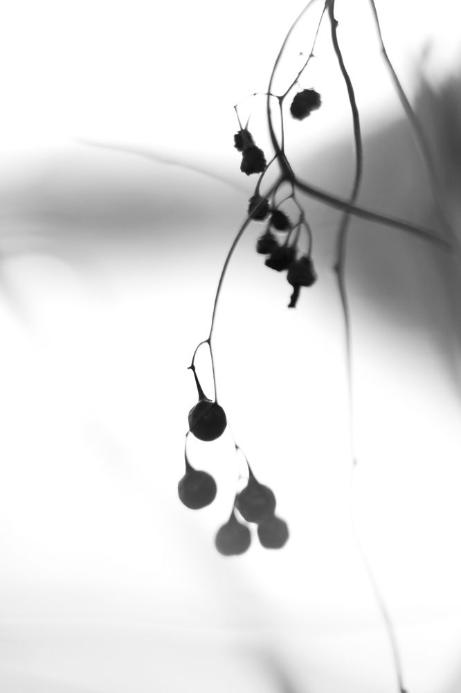 Photograph by Дарья Колесникова