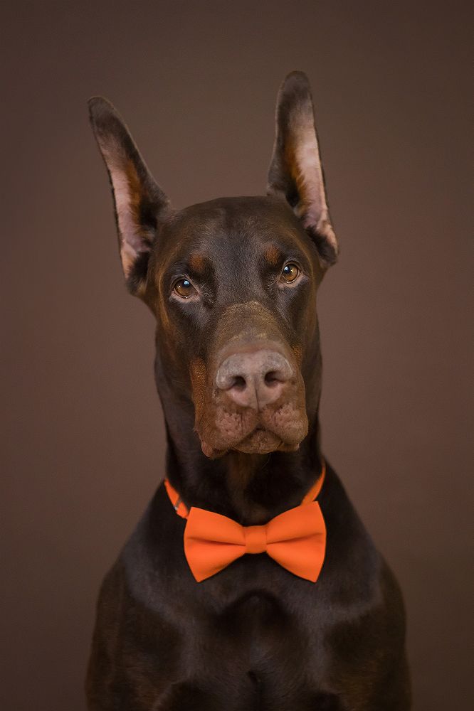 Photograph by Виктория Мамаева