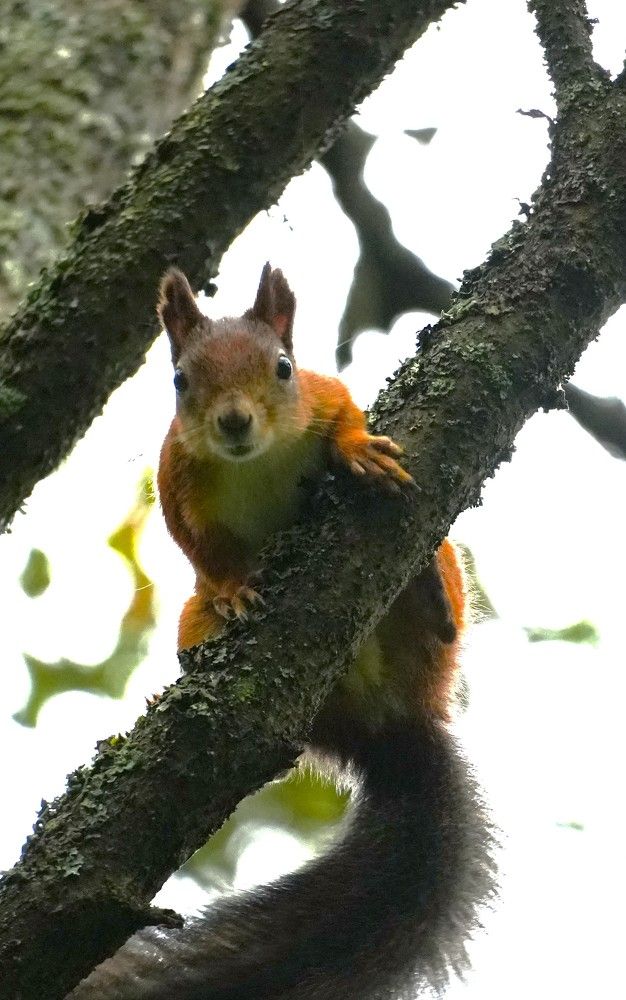 Photograph by Михаил Трусов