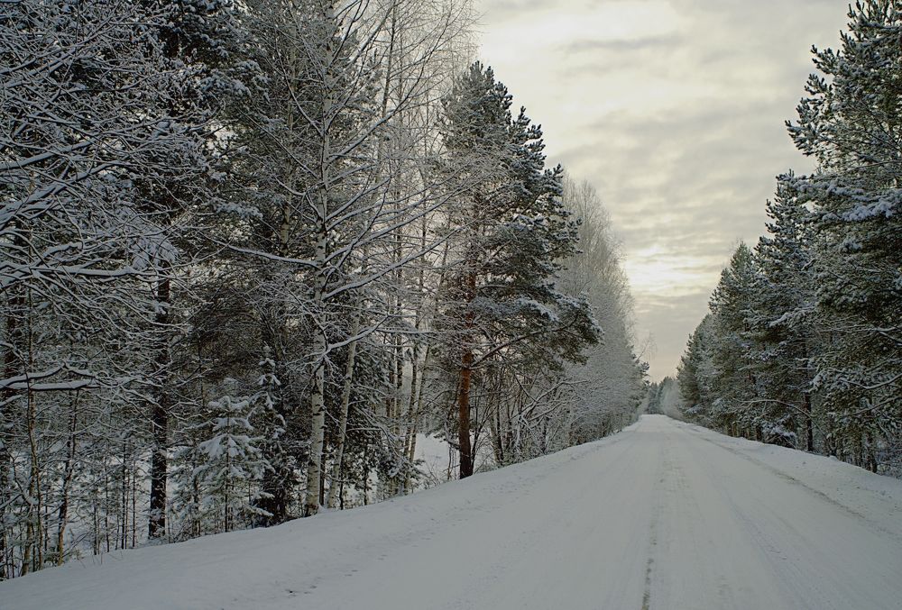 Photograph by Николай Круглов