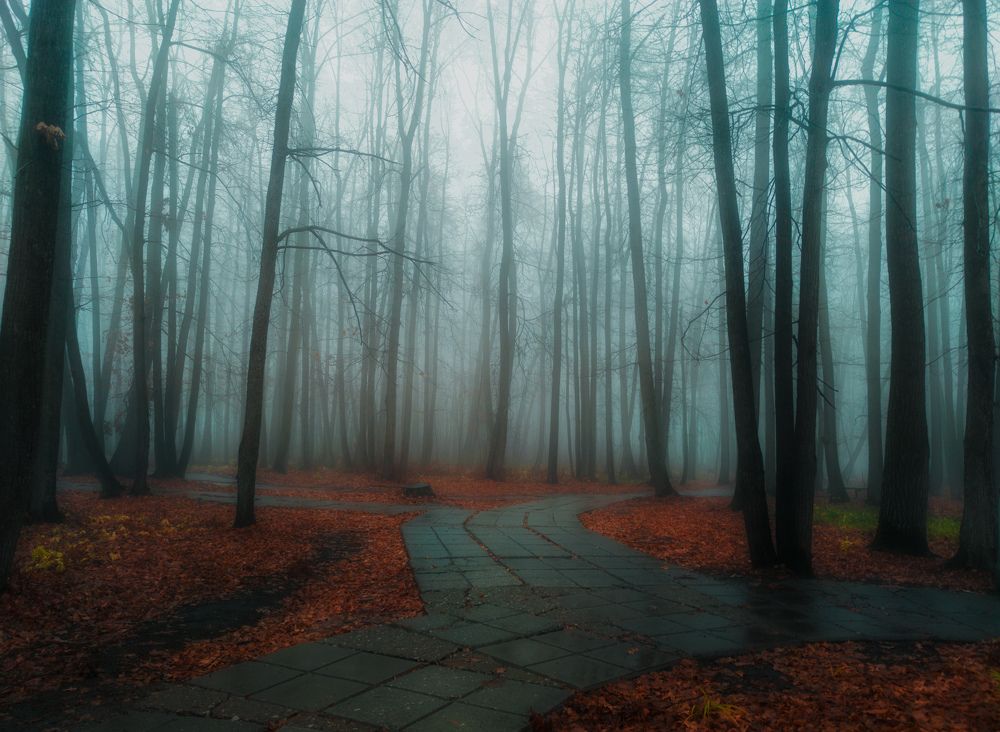 Фотография автора Александр Андреянов