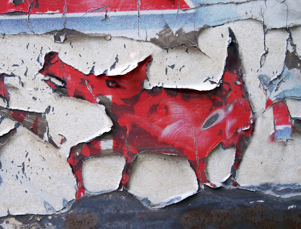 Photograph by Илья Веулоп