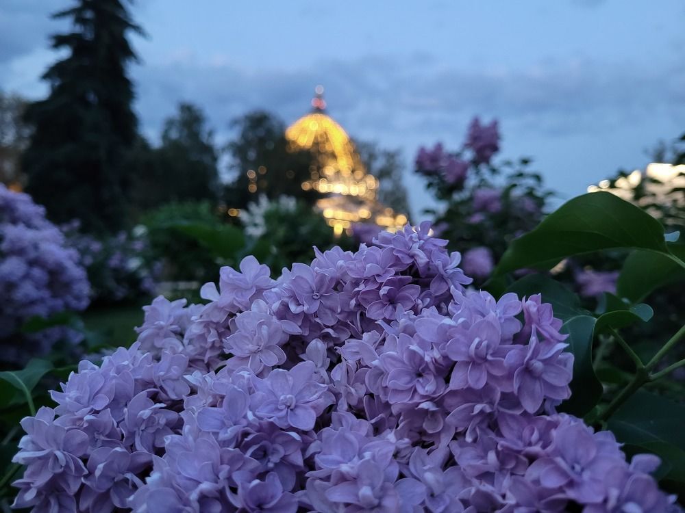 Photograph by Екатерина