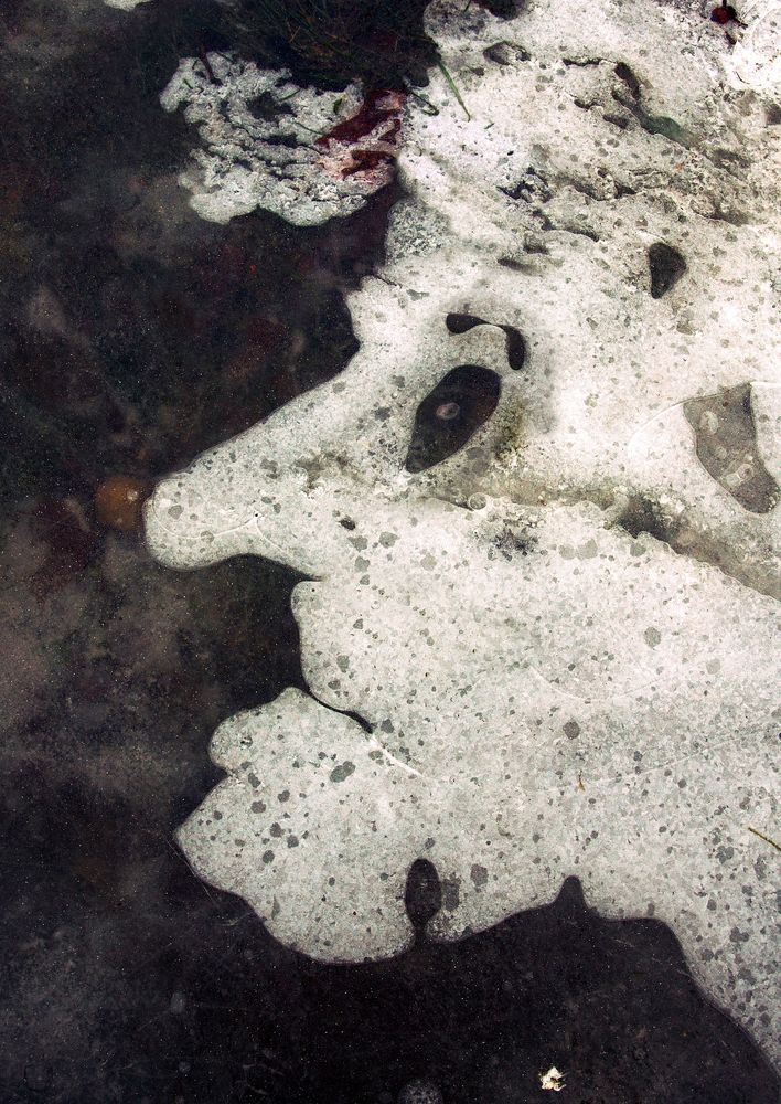 Photograph by Илья Веулоп