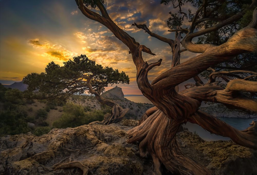 Photograph by Александр Разумов