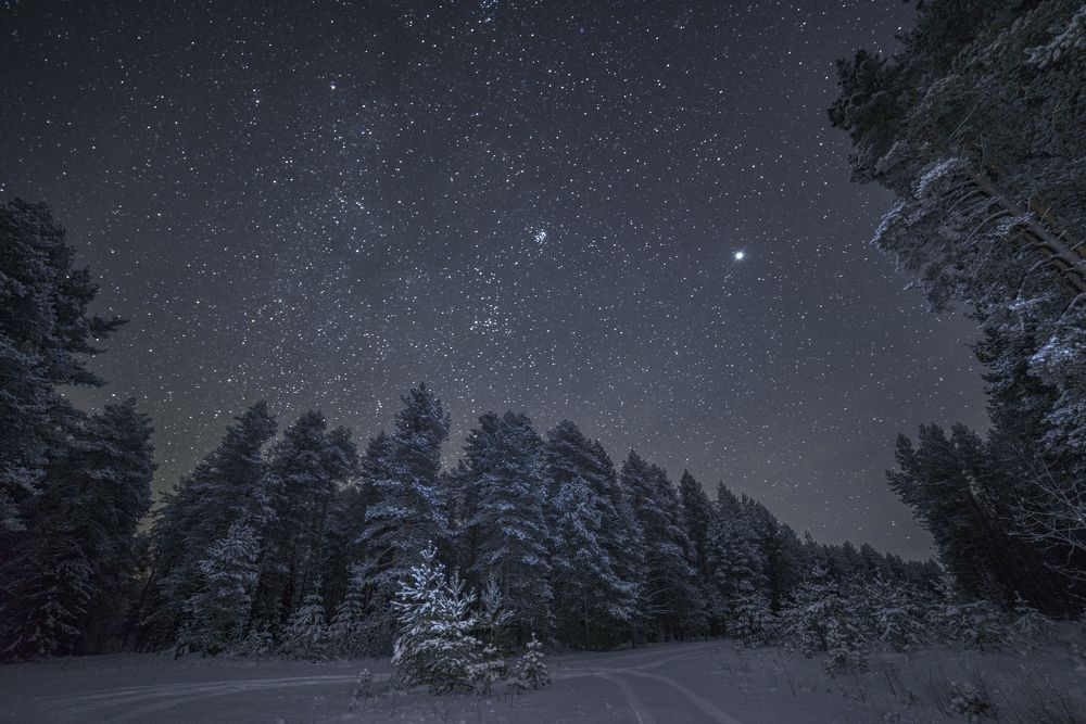 Photograph by Николай Лысцев