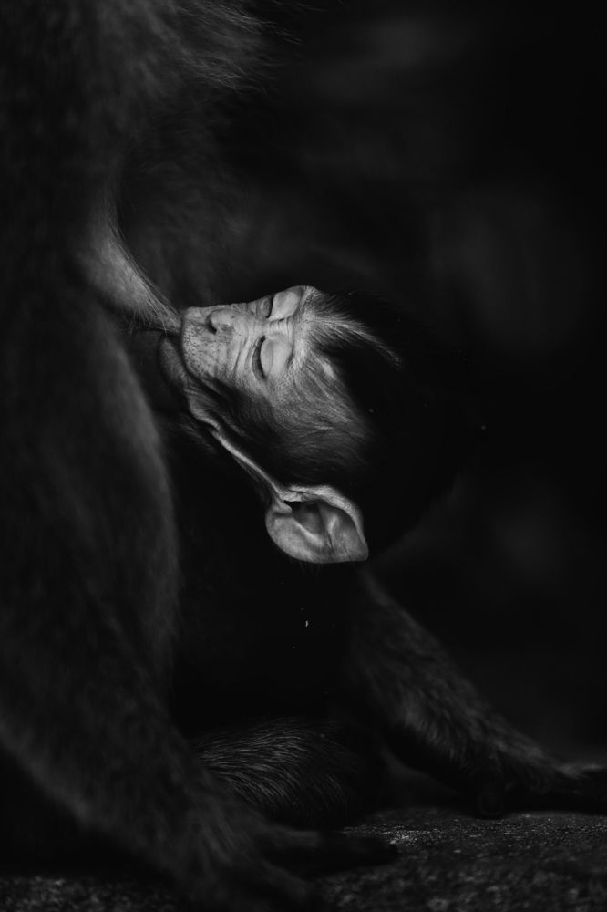 Photograph by Ahmad El Hanjoul