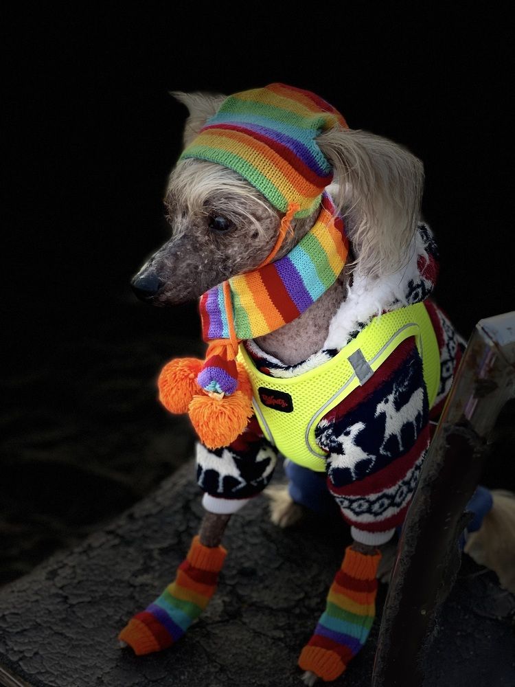 Photograph by Ирина