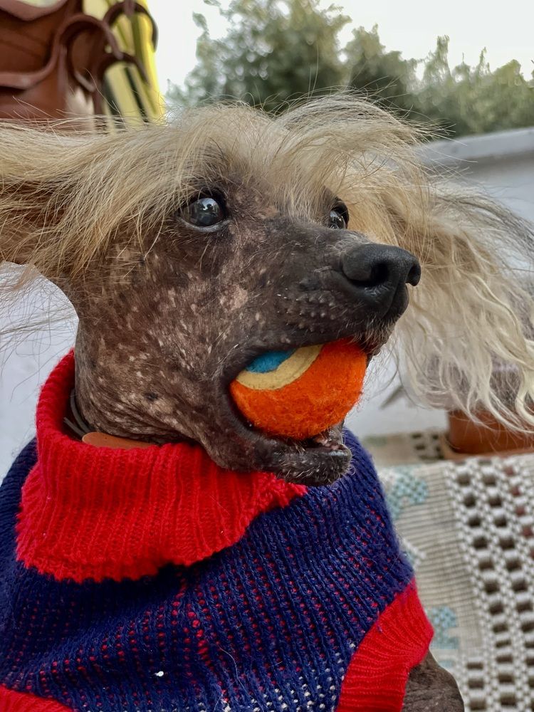 Photograph by Ирина