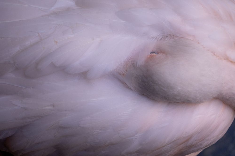 Photograph by Kristiina Stahlberg