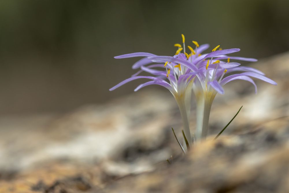 Фотография автора Nikolay Tatarchuk