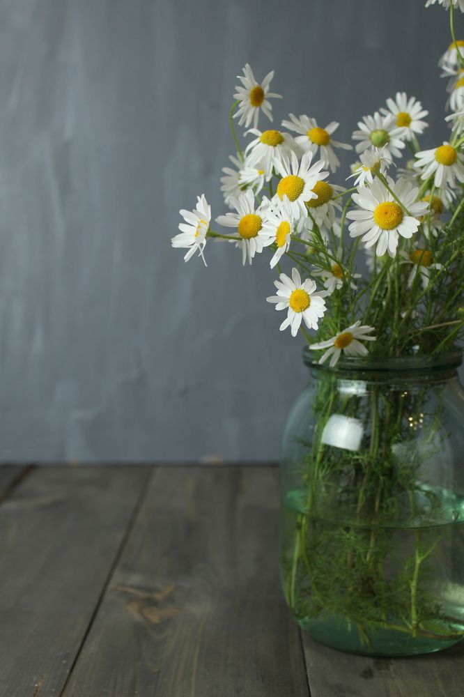 Photograph by Кристина Шоба