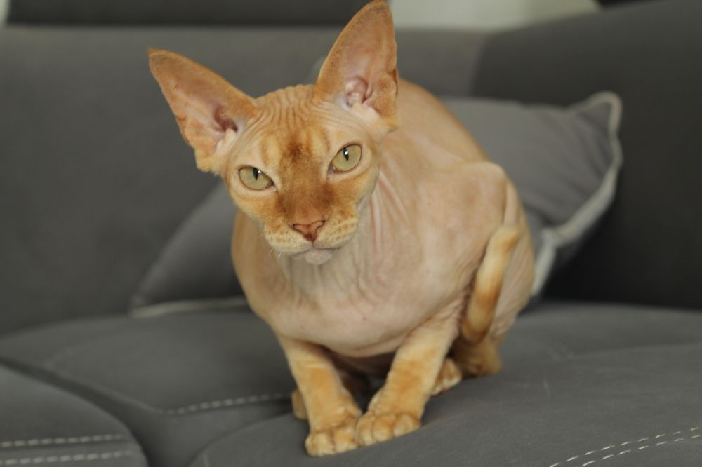 Photograph by Кристина Шоба