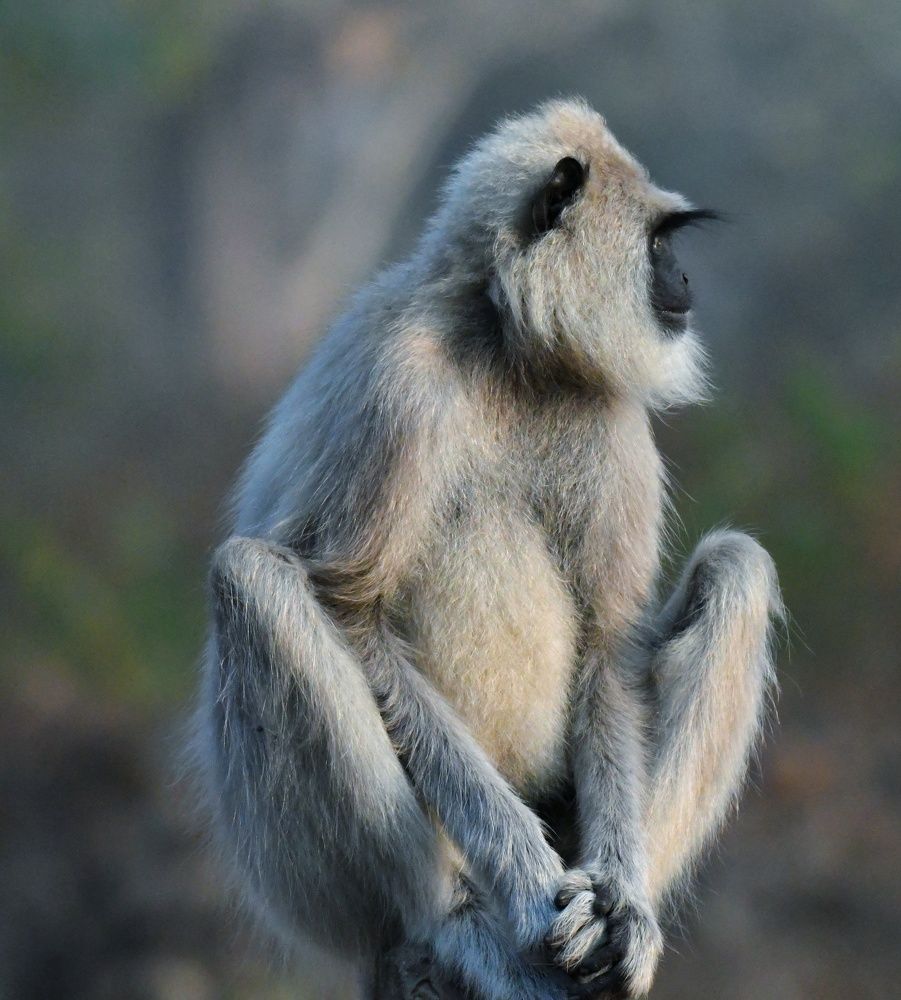 Photograph by Ansary