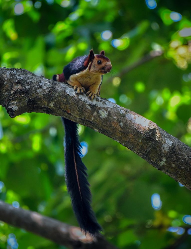 Photograph by Ansary