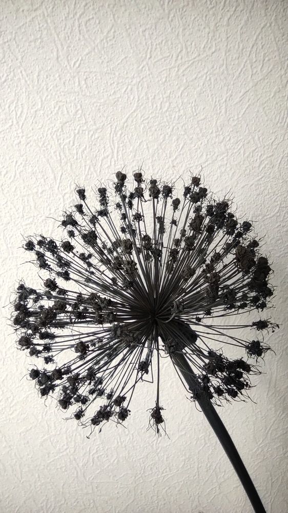 Photograph by Наталья Рау