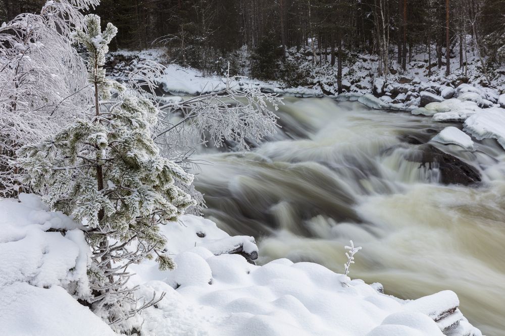 Фотография автора Губань Виктор
