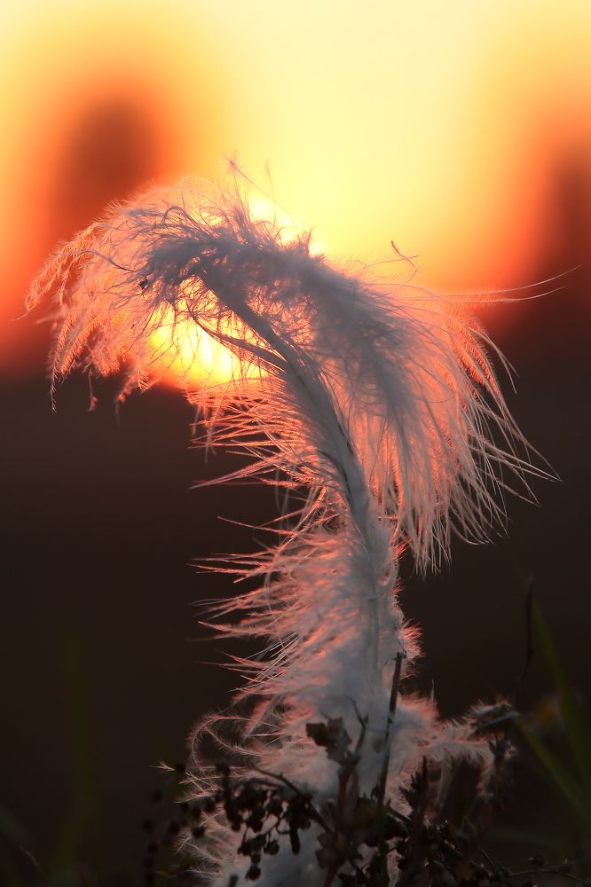 Photograph by Александр Масенко