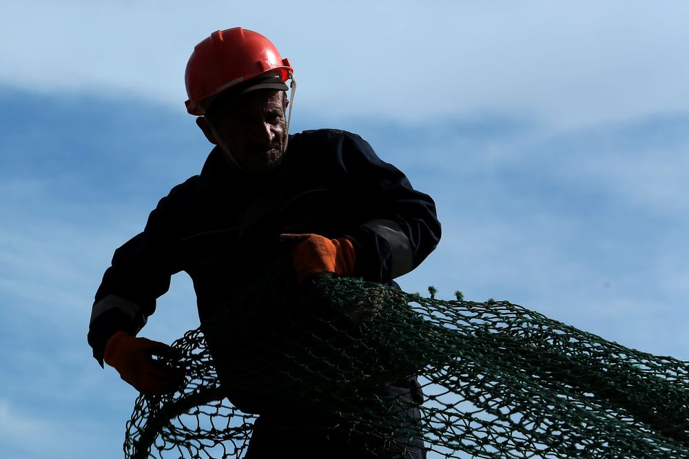 Photograph by Александр Масенко