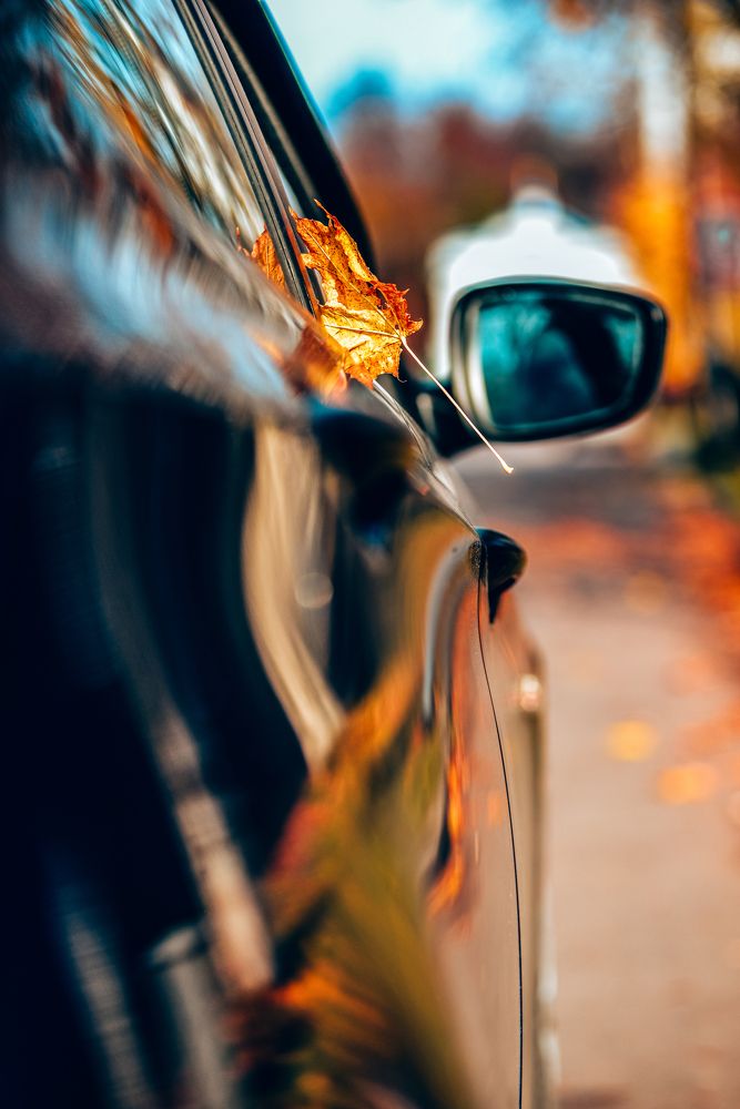 Photograph by Сергей Зимин