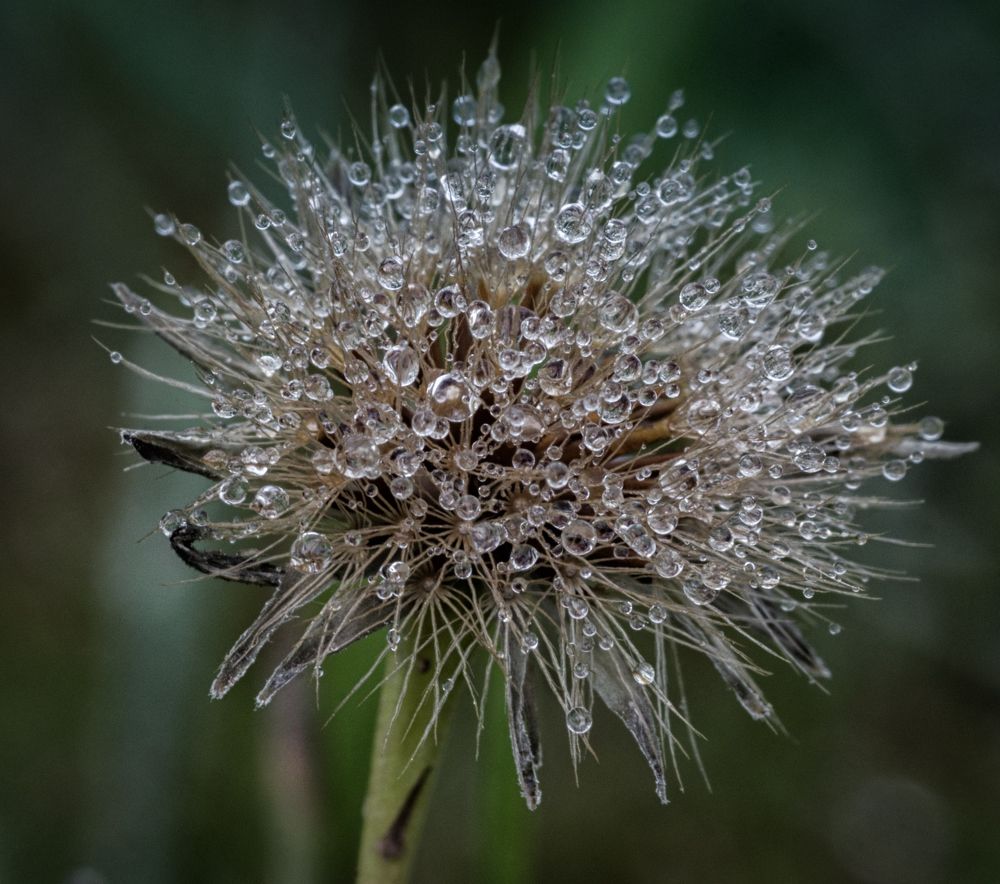 Photograph by Федор Кованский