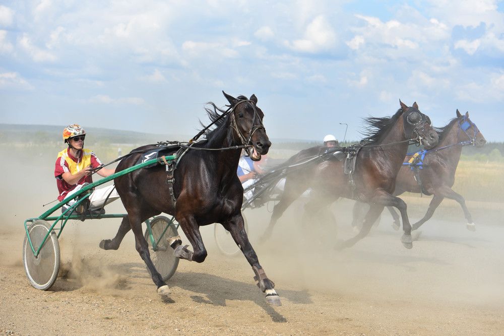 Photograph by Сергей Чесноков