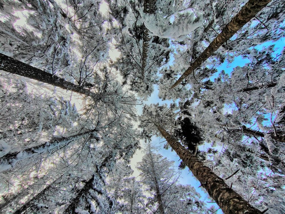 Фотография автора Илья