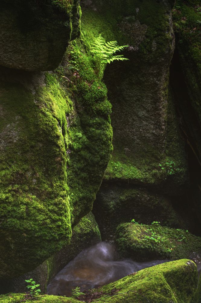 Mossy Green Gorge