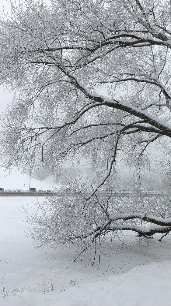 Photograph by Людмила Щуцкая