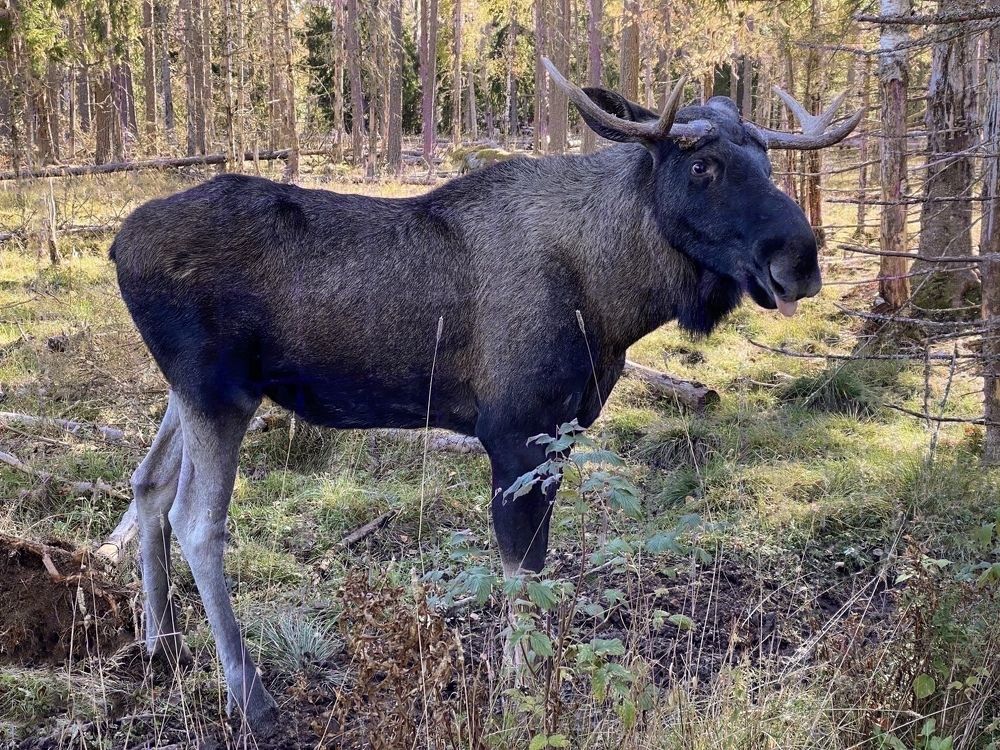 Photograph by Janina Segeda