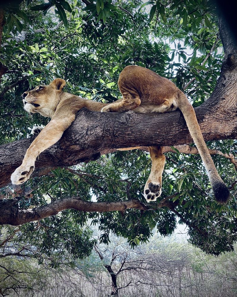 Photograph by Iuliia Akhulkova