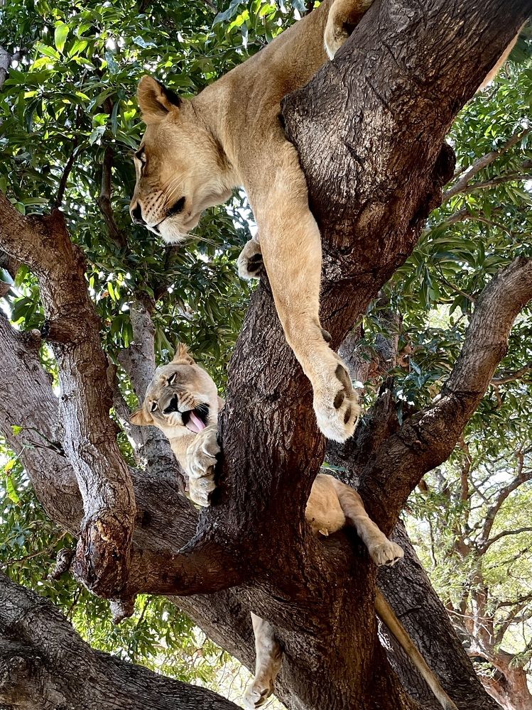 Photograph by Iuliia Akhulkova