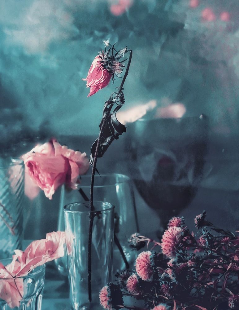 Photograph by Татьяна Гулакова