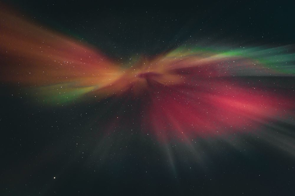 Полет жар птицы