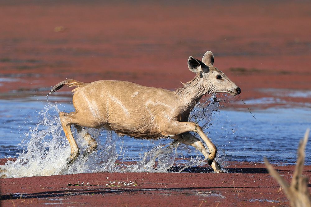 Photograph by Nirbhay Patil