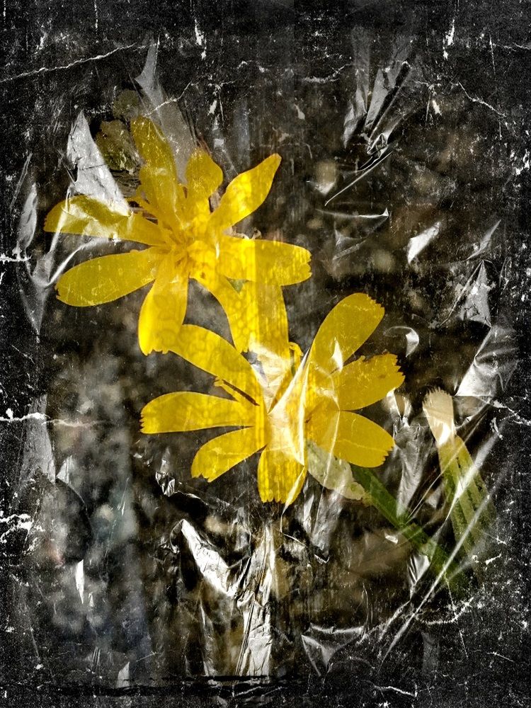 Among the reflections