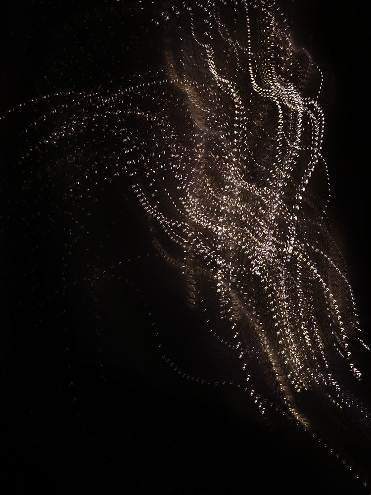 Фотография автора Елена Поживилко