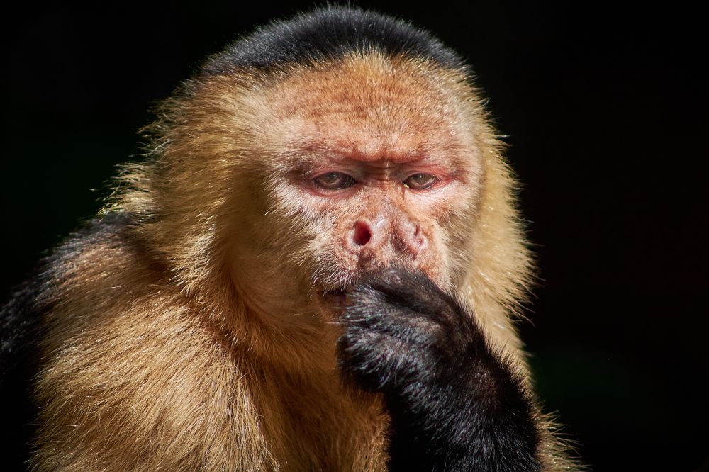 Photograph by Jean Posner