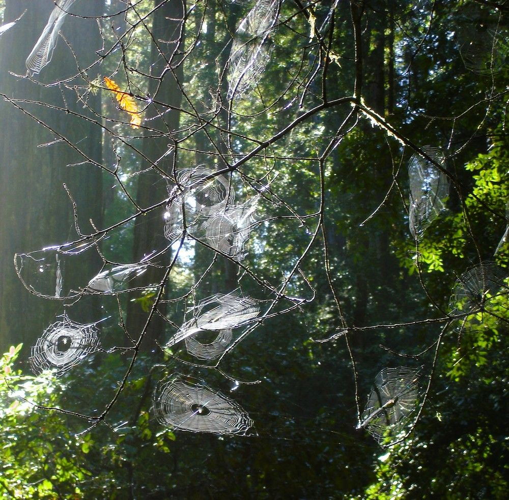 Photograph by Ирина Орлова