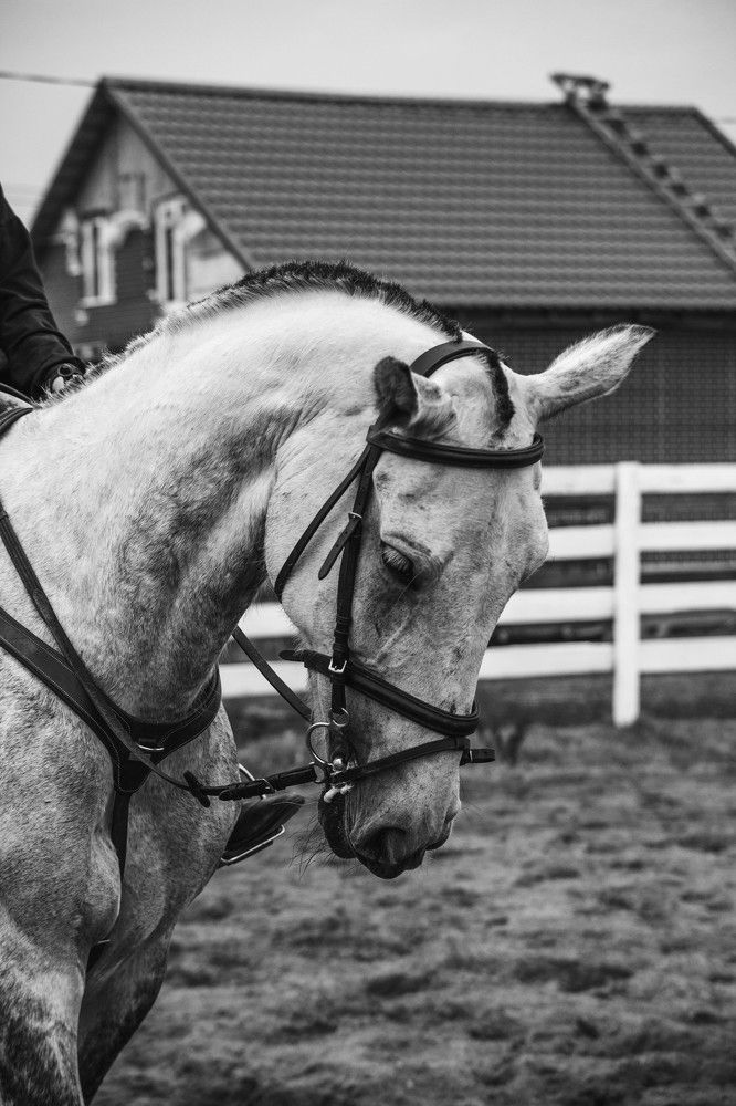 Photograph by Алина Соснина