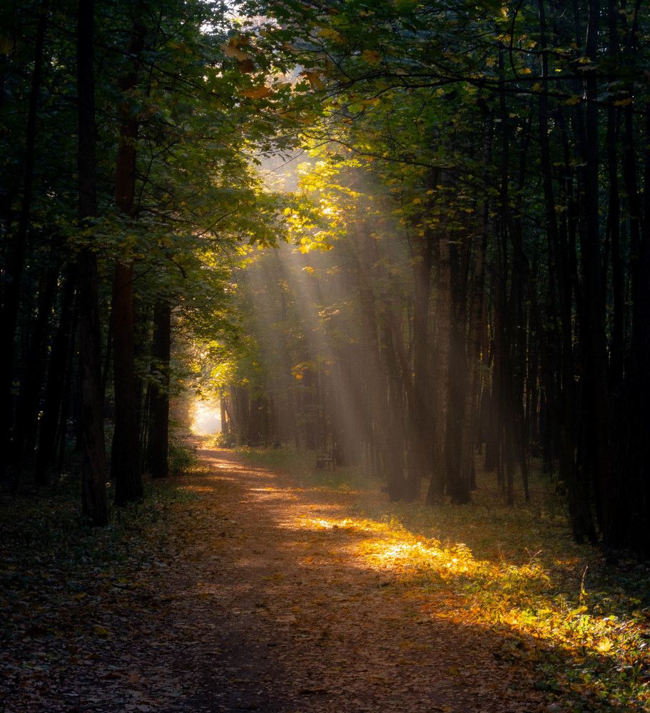 Photograph by Игорь Криулин