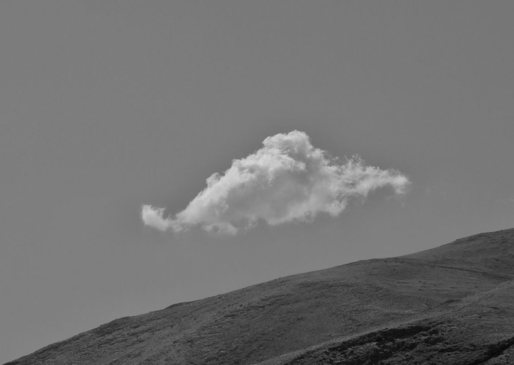 Photograph by Shahin