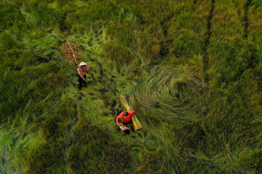 Photograph by Leduy Mai