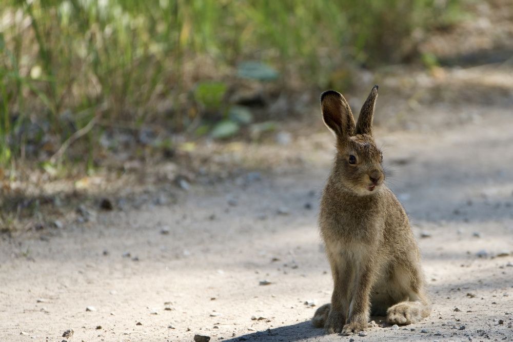 Фотография автора Viktoriya Kim