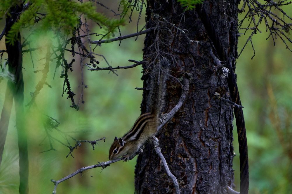 Фотография автора Viktoriya Kim